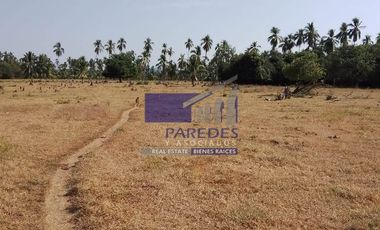 23 Hectareas en venta en colindancia con  Medanos de Ixtapa Zihuatanejo T519