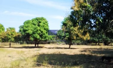 23 Hectareas en venta en colindancia con  Medanos de Ixtapa Zihuatanejo T519