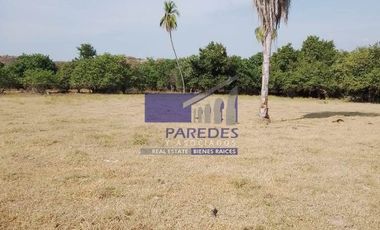 23 Hectareas en venta en colindancia con  Medanos de Ixtapa Zihuatanejo T519