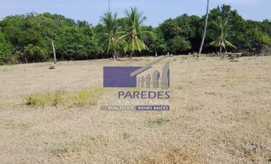 23 Hectareas en venta en colindancia con  Medanos de Ixtapa Zihuatanejo T519
