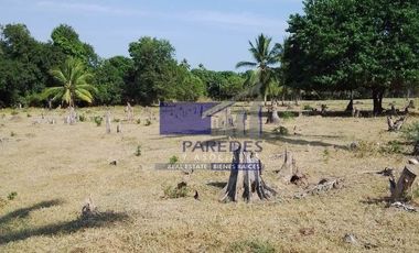 23 Hectareas en venta en colindancia con  Medanos de Ixtapa Zihuatanejo T519