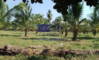 23 Hectareas en venta en colindancia con  Medanos de Ixtapa Zihuatanejo T519