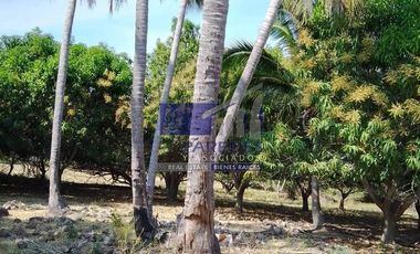 23 Hectareas en venta en colindancia con  Medanos de Ixtapa Zihuatanejo T519