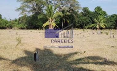 23 Hectareas en venta en colindancia con  Medanos de Ixtapa Zihuatanejo T519