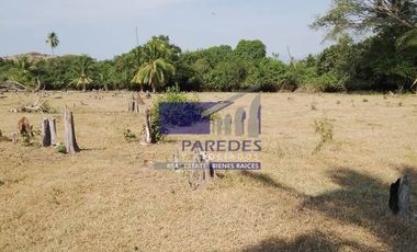 23 Hectareas en venta en colindancia con  Medanos de Ixtapa Zihuatanejo T519