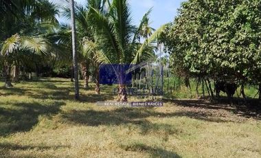 23 Hectareas en venta en colindancia con  Medanos de Ixtapa Zihuatanejo T519