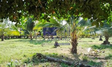 23 Hectareas en venta en colindancia con  Medanos de Ixtapa Zihuatanejo T519