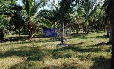 23 Hectareas en venta en colindancia con  Medanos de Ixtapa Zihuatanejo T519