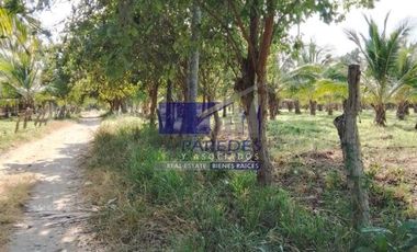 23 Hectareas en venta en colindancia con  Medanos de Ixtapa Zihuatanejo T519