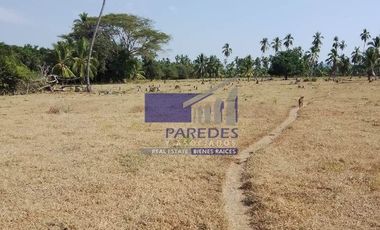 23 Hectareas en venta en colindancia con  Medanos de Ixtapa Zihuatanejo T519