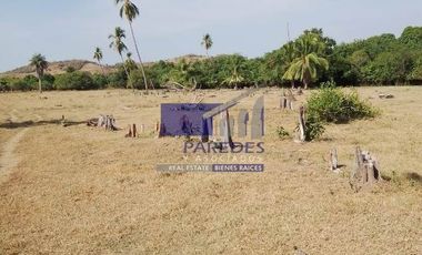 23 Hectareas en venta en colindancia con  Medanos de Ixtapa Zihuatanejo T519