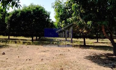 23 Hectareas en venta en colindancia con  Medanos de Ixtapa Zihuatanejo T519