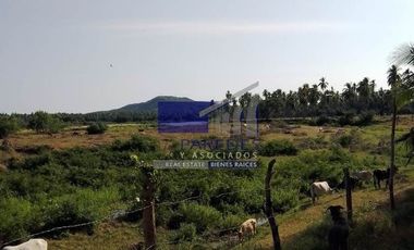 23 Hectareas en venta en colindancia con  Medanos de Ixtapa Zihuatanejo T519