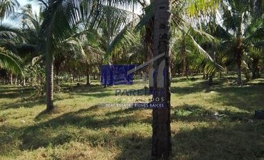 23 Hectareas en venta en colindancia con  Medanos de Ixtapa Zihuatanejo T519