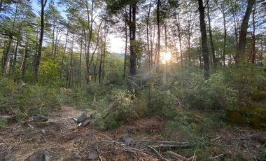 Z O N A S U R . C L   20.000 m2 ubicado en el sector de Rinconada Catripulli Alto
