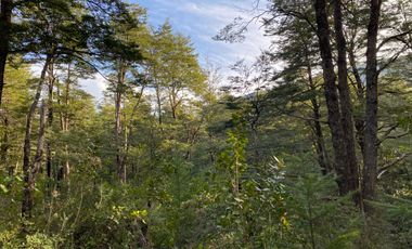 Z O N A S U R . C L   20.000 m2 ubicado en el sector de Rinconada Catripulli Alto