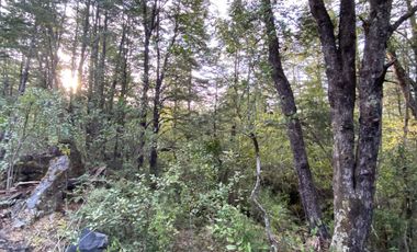 Z O N A S U R . C L   20.000 m2 ubicado en el sector de Rinconada Catripulli Alto
