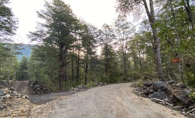 Z O N A S U R . C L   20.000 m2 ubicado en el sector de Rinconada Catripulli Alto