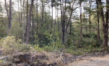 Z O N A S U R . C L   20.000 m2 ubicado en el sector de Rinconada Catripulli Alto