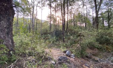 Z O N A S U R . C L   20.000 m2 ubicado en el sector de Rinconada Catripulli Alto