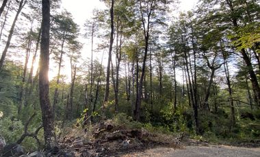 Z O N A S U R . C L   20.000 m2 ubicado en el sector de Rinconada Catripulli Alto