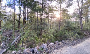 Z O N A S U R . C L   20.000 m2 ubicado en el sector de Rinconada Catripulli Alto
