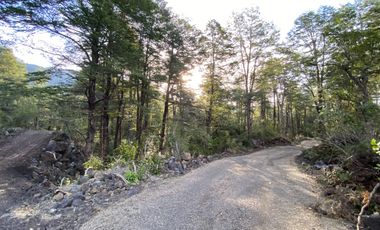 Z O N A S U R . C L   20.000 m2 ubicado en el sector de Rinconada Catripulli Alto