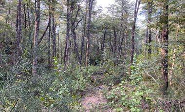 Z O N A S U R . C L   20.000 m2 ubicado en el sector de Rinconada Catripulli Alto