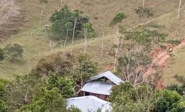 Venta Finca Ganadera en Caracolí Antioquia