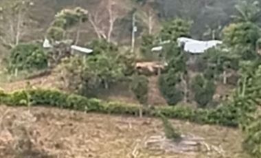 Venta Finca Ganadera en Caracolí Antioquia