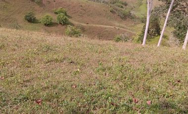 Venta Finca Ganadera en Caracolí Antioquia