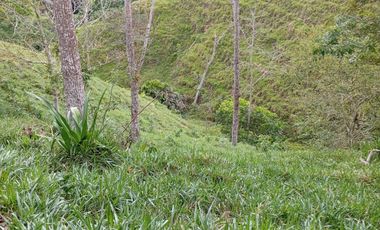 Venta Finca Ganadera en Caracolí Antioquia