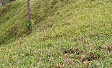 Venta Finca Ganadera en Caracolí Antioquia