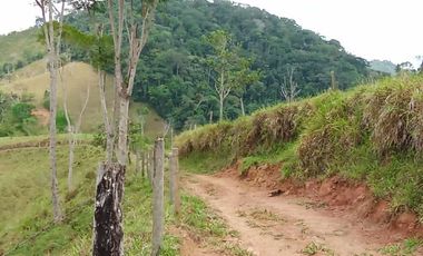 Venta Finca Ganadera en Caracolí Antioquia