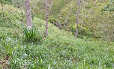 Venta Finca Ganadera en Caracolí Antioquia