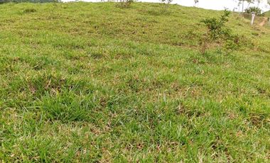 Venta Finca Ganadera en Caracolí Antioquia