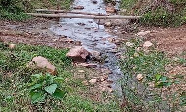 Venta Finca Ganadera en Caracolí Antioquia