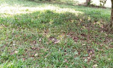 Venta Finca Ganadera en Caracolí Antioquia