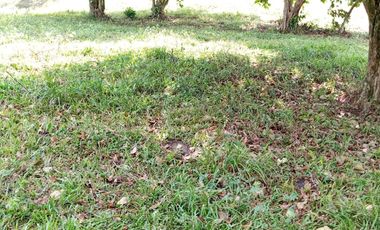 Venta Finca Ganadera en Caracolí Antioquia