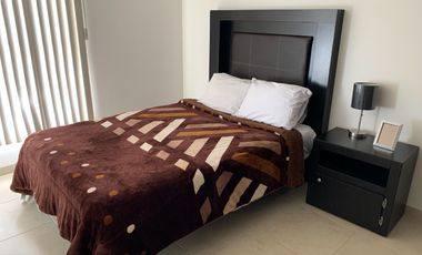 CASA AMUEBLADA PROXIMA A ZONA INDUSTRAIL, PRIV. CON ALBERCA,  CON SEGURIDAD 24/7