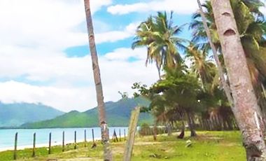 BEACH LOT FOR SALE IN SAN VICENTE, PALAWAN