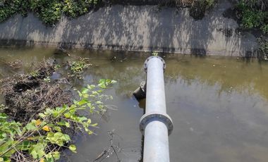 F24 - Vendo Hacienda agrícola en Guayas - 50 hectáreas