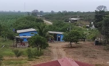 F24 - Vendo Hacienda agrícola en Guayas - 50 hectáreas