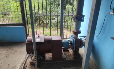 F24 - Vendo Hacienda agrícola en Guayas - 50 hectáreas