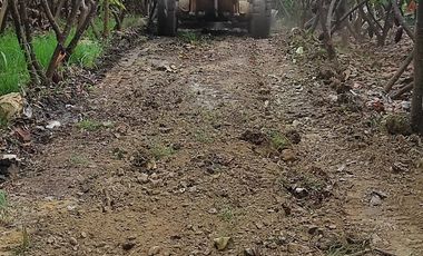 F24 - Vendo Hacienda agrícola en Guayas - 50 hectáreas