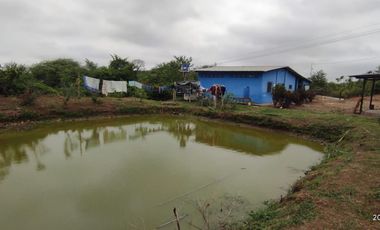 F24 - Vendo Hacienda agrícola en Guayas - 50 hectáreas