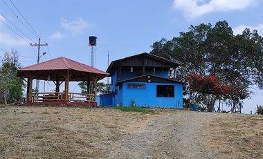 F24 - Vendo Hacienda agrícola en Guayas - 50 hectáreas