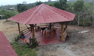 F24 - Vendo Hacienda agrícola en Guayas - 50 hectáreas