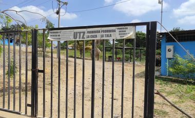 F24 - Vendo Hacienda agrícola en Guayas - 50 hectáreas