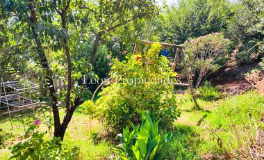 Leon Propiedades vende parcela con casa en sector Lo Aguila, Curacavi.